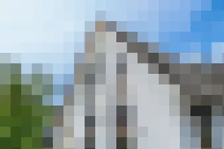 Roggeveld 15 Gilze thumbnail 62