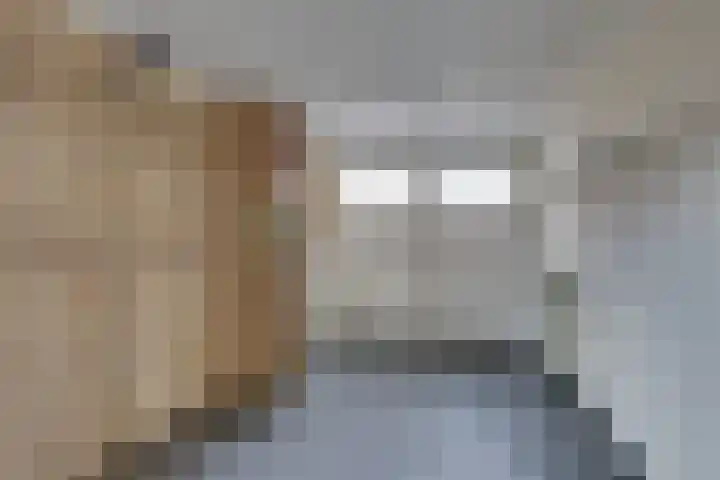 Roggeveld 15 Gilze thumbnail 9