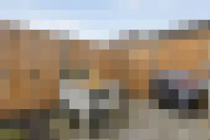 Roggeveld 25 Staphorst thumbnail 31