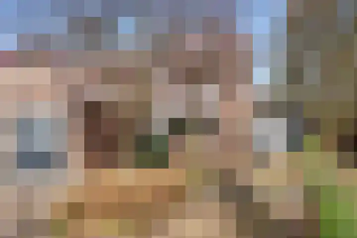 Roghorst 313 in Wageningen