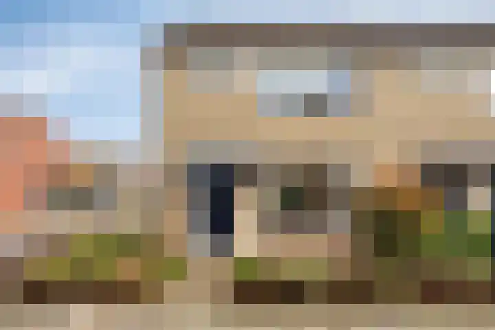 Foto van Rogier de Vries