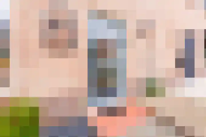 Rogier van der Weydenstr 7 Zelhem thumbnail 20
