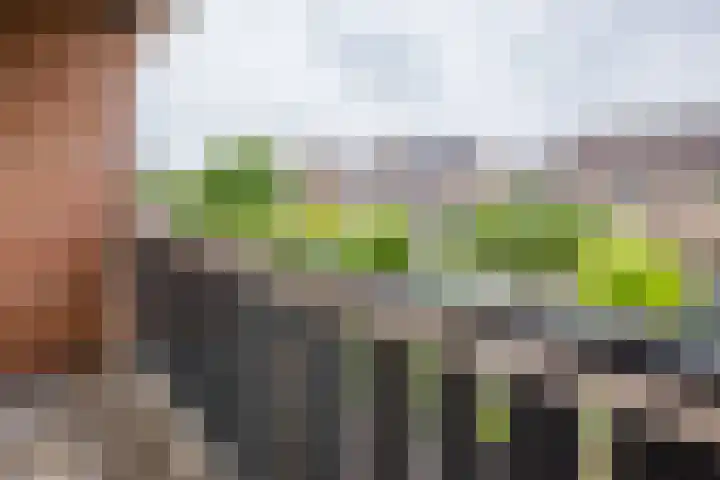 Rogier van der Weydenstr 7 Zelhem thumbnail 24