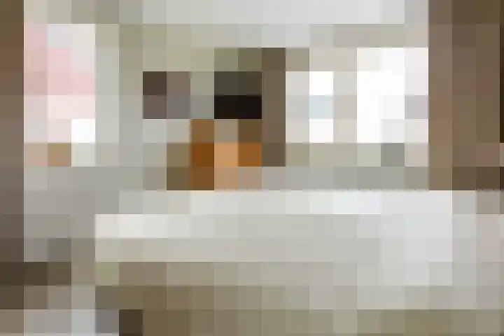 Rogier van der Weydenstr 7 Zelhem thumbnail 26