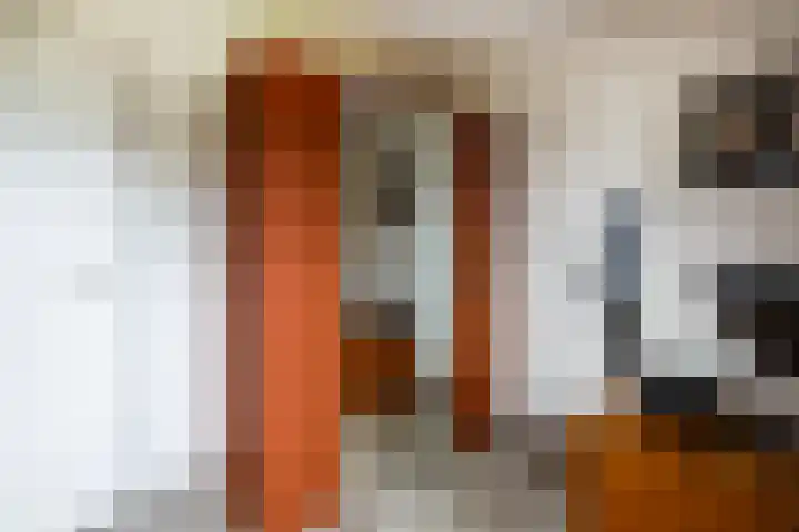 Rogier van der Weydenstr 7 Zelhem thumbnail 31