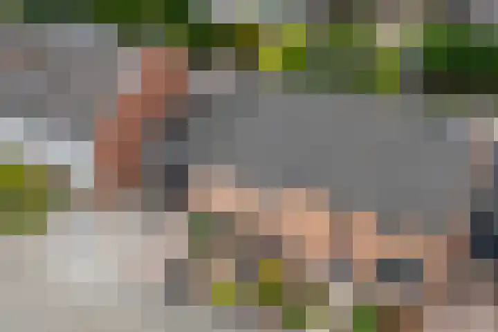 Rogier van der Weydenstr 7 Zelhem thumbnail 39