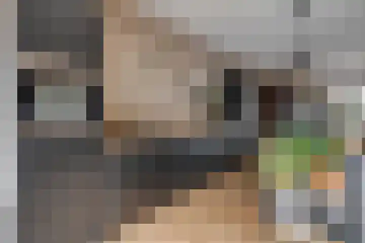 Rogstraat 37 Herpen thumbnail 12
