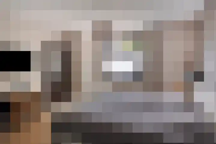 Rogstraat 37 Herpen thumbnail 22