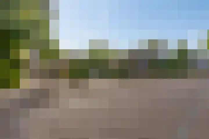 Rogstraat 37 Herpen thumbnail 36
