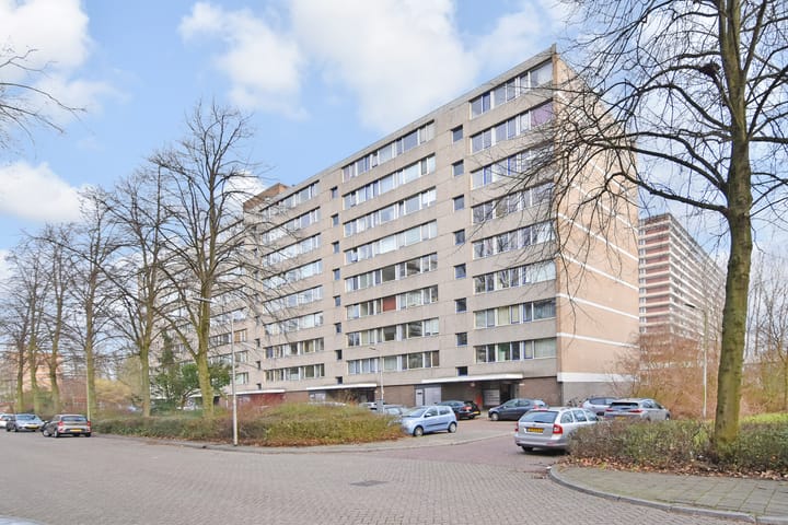 Roland Holstlaan 1065 in Delft