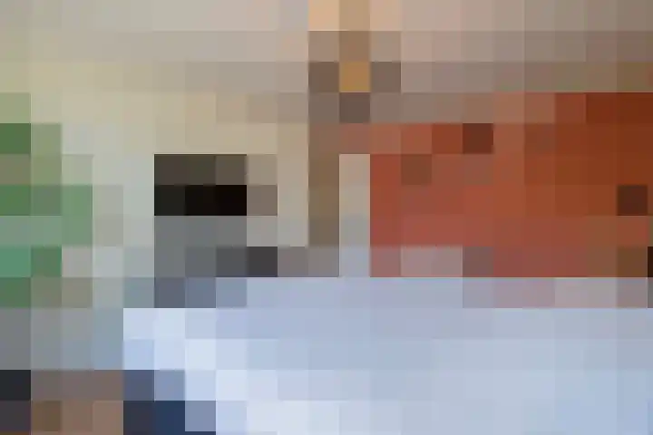 Rolandsweg 8 Sittard thumbnail 26