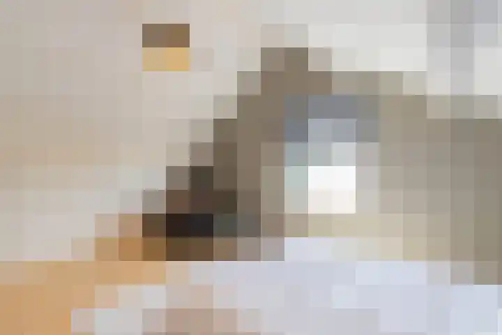 Rolandsweg 8 Sittard thumbnail 31