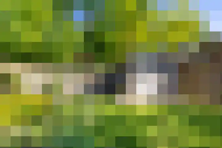 Rolderbrink 218 Emmen thumbnail 32