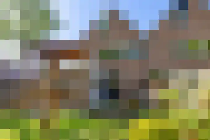 Rolderbrink 218 Emmen thumbnail 33