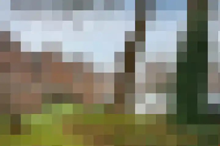 Rolderbrink 324 Emmen thumbnail 34