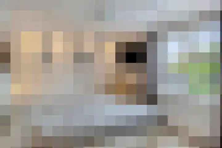 Rolklaver 108 Deventer thumbnail 15