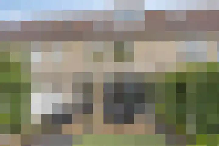 Rolklaver 108 Deventer thumbnail 27