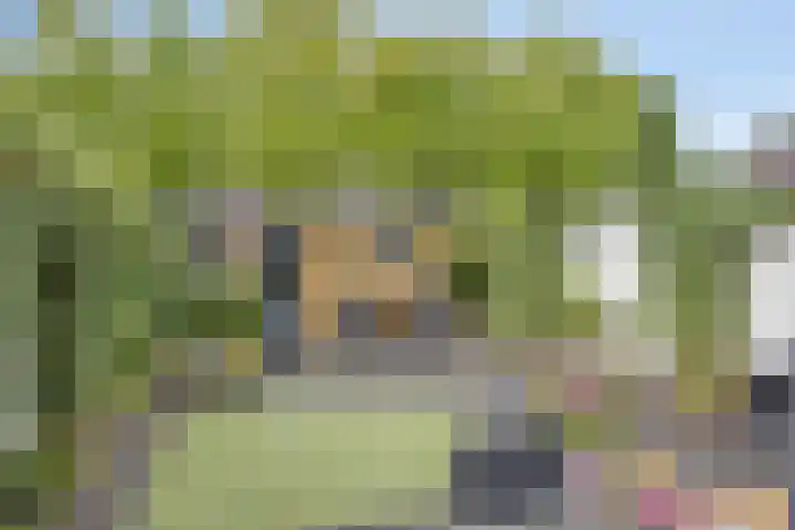 Rolklaver 108 Deventer thumbnail 28
