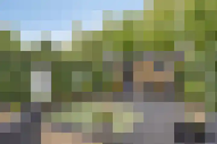 Rolklaver 108 Deventer thumbnail 29