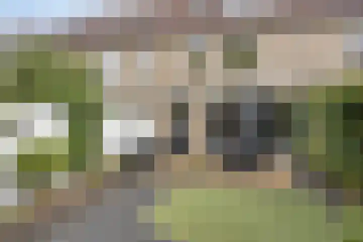 Rolklaver 108 Deventer thumbnail 31