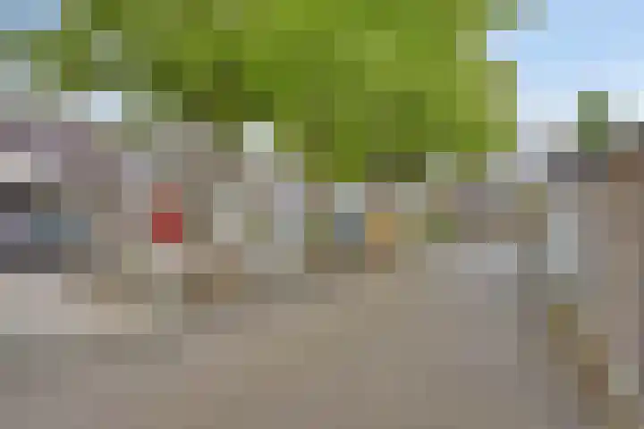 Rolklaver 108 Deventer thumbnail 34