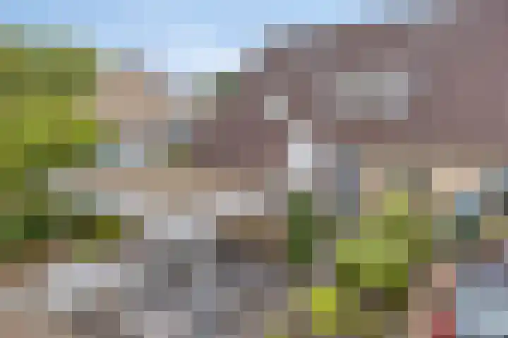 Rolklaver 108 Deventer thumbnail 39
