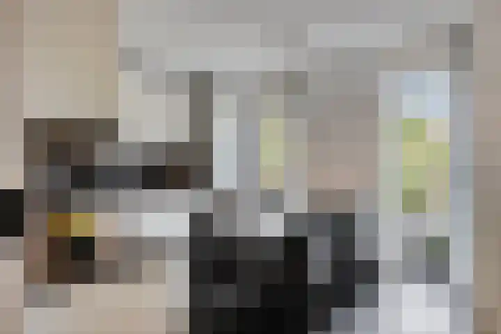 Rolklaver 108 Deventer thumbnail 9