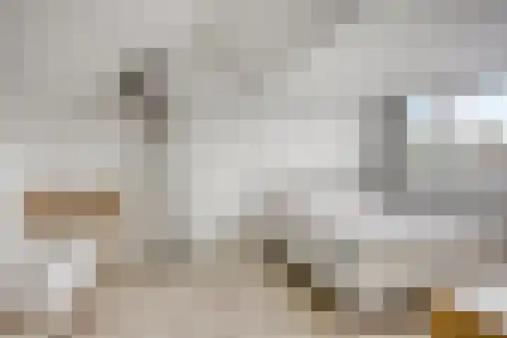Rolklaver 6 Kampen thumbnail 29