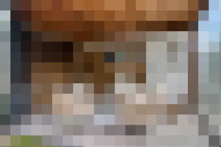 Rolklaver 6 Kampen thumbnail 33