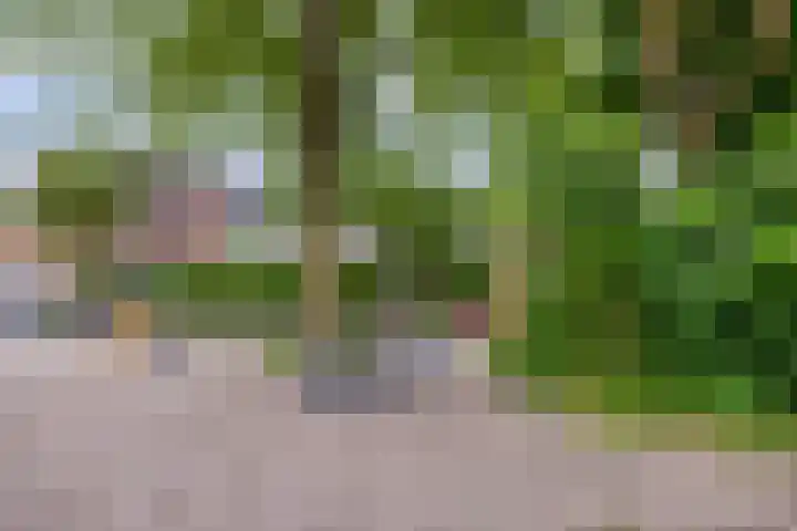 Rolklaver 6 Kampen thumbnail 38