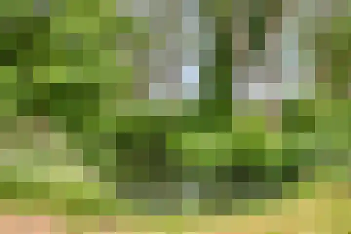 Rolklaver 6 Kampen thumbnail 40