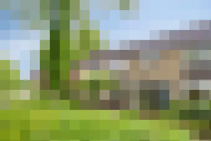 Rolklaver 6 Kampen thumbnail 46