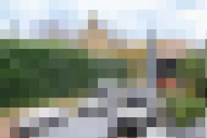 Rollandslaan 72 Haarlem thumbnail 19