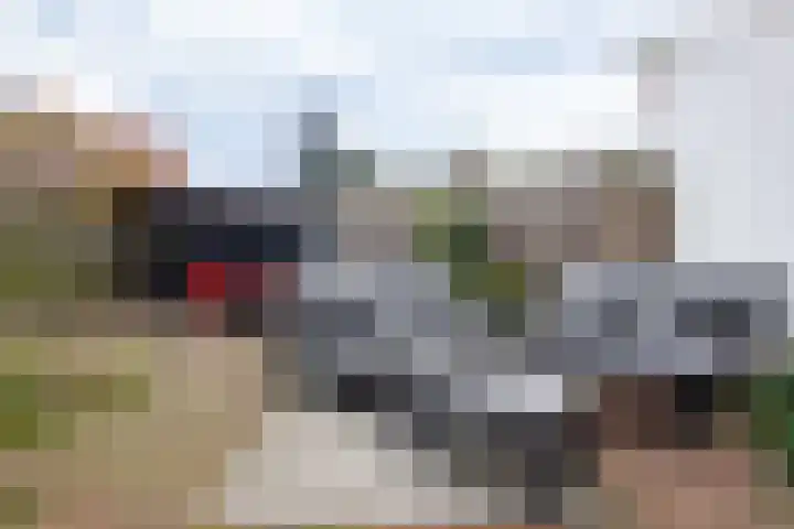 Rollandslaan 72 Haarlem thumbnail 6