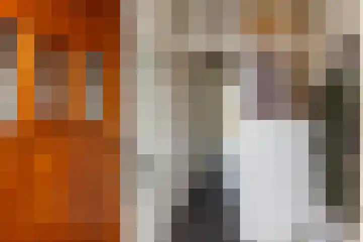 Rollandslaan 72 Haarlem thumbnail 8