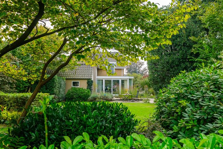 Rollecate 20E in Nieuwleusen foto