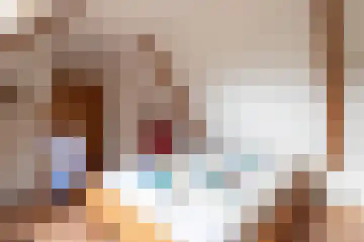 Rollestraat 39 Wapse thumbnail 24