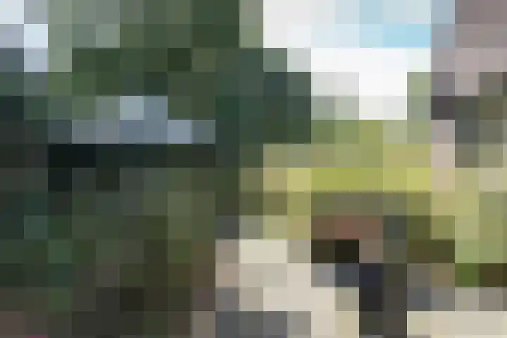 Rollestraat 39 Wapse thumbnail 27