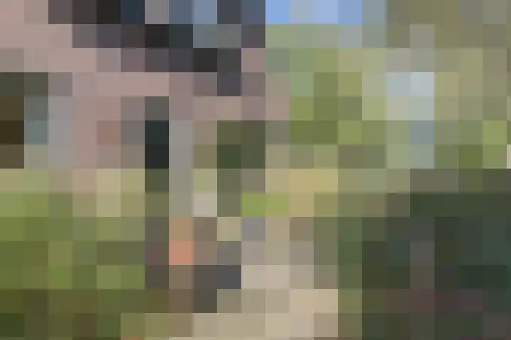 Rollestraat 39 Wapse thumbnail 28