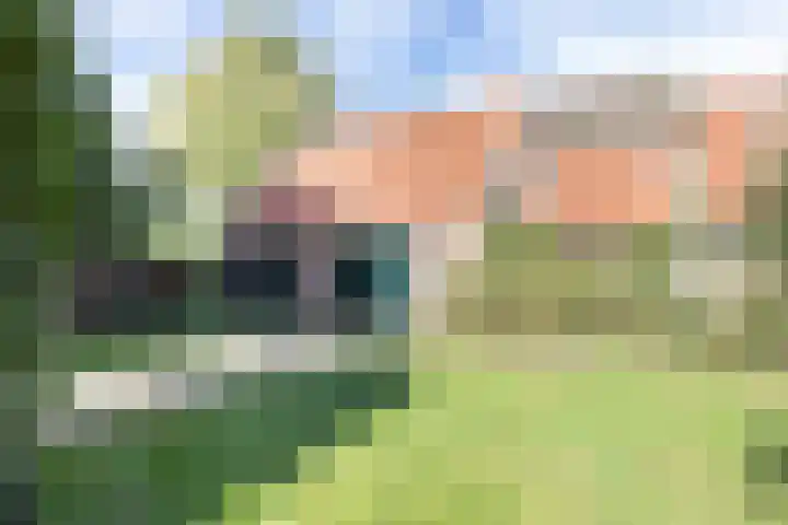 Rollestraat 39 Wapse thumbnail 29
