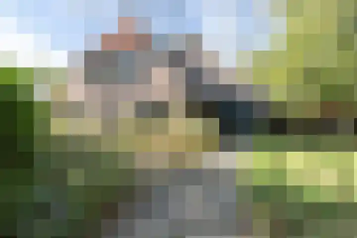 Rollestraat 39 Wapse thumbnail 30