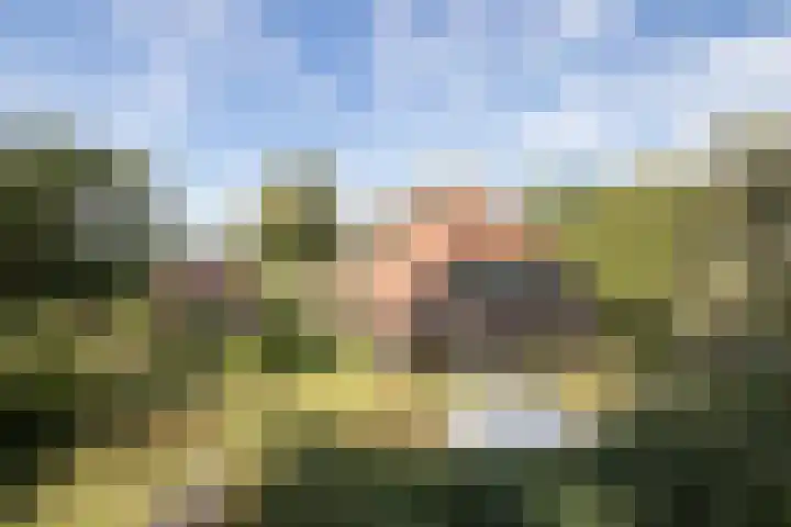 Rollestraat 39 Wapse thumbnail 31