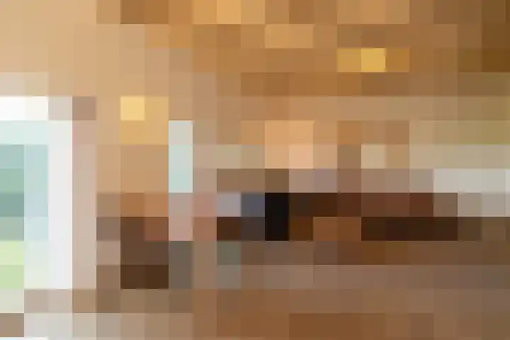 Rollestraat 39 Wapse thumbnail 35