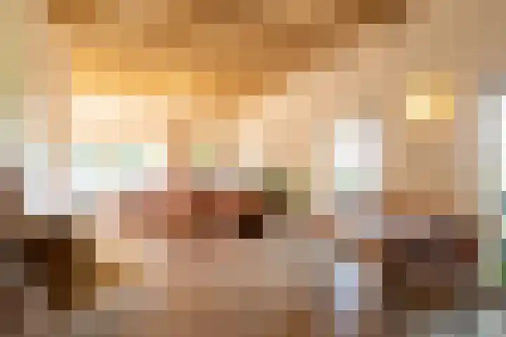 Rollestraat 39 Wapse thumbnail 36