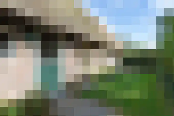 Rollestraat 39 Wapse thumbnail 4