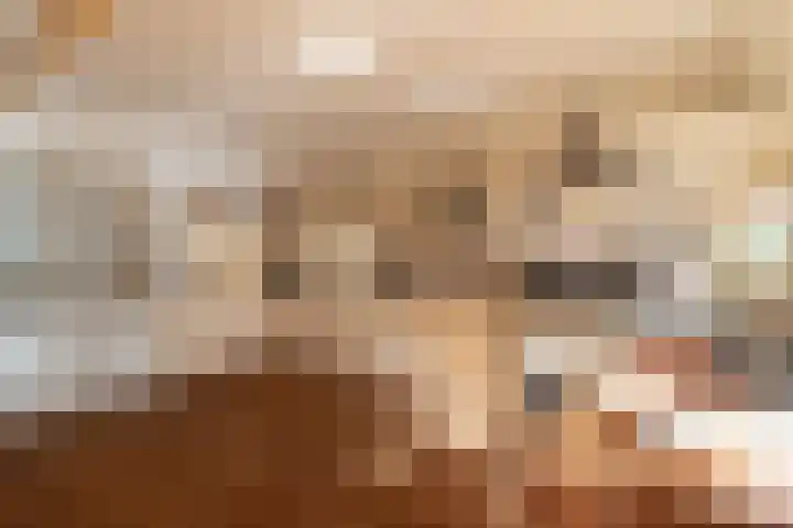 Rollestraat 39 Wapse thumbnail 41