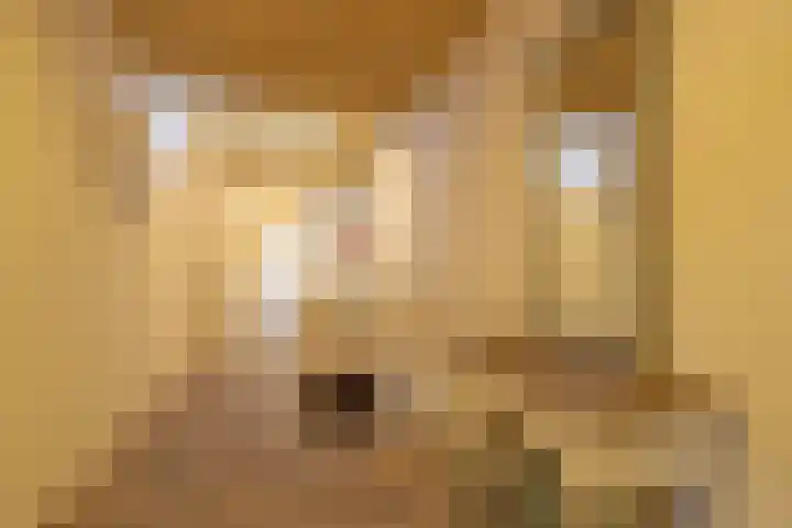 Rollestraat 39 Wapse thumbnail 45