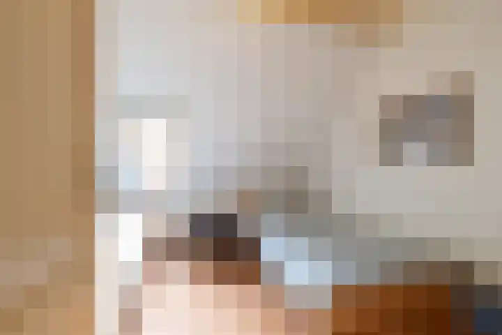 Rollestraat 39 Wapse thumbnail 50