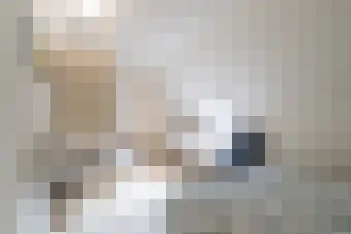 Rollestraat 39 Wapse thumbnail 51
