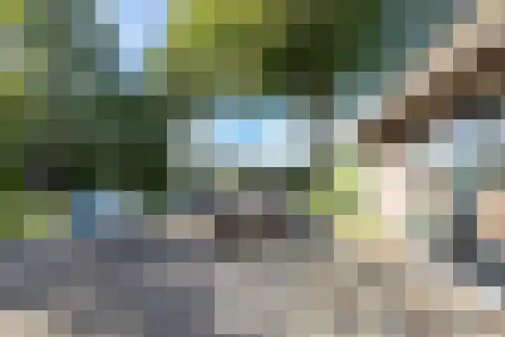 Rollestraat 39 Wapse thumbnail 55